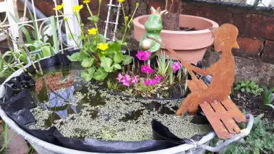Kundenfoto zu Kleiner Angler - Finn - 30 cm auf Steg sitzend als Kantenhocker