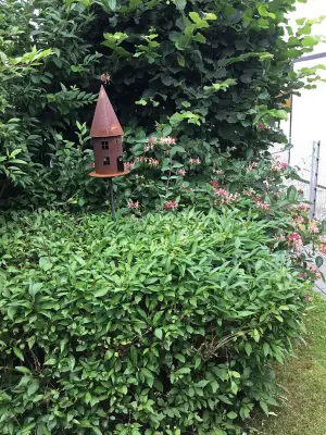Kundenfoto zu Deko- Vogelhaus -3- Höhe 68 cm - Vogelfutterhaus und Windlicht