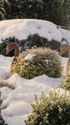Kundenfoto zu Deko Gartenstecker - Schwanenkopf - Höhe 60 cm - Teich und Beetdeko
